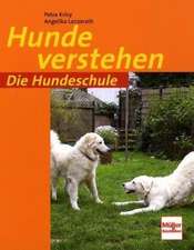 Die Hundeschule: Hunde verstehen