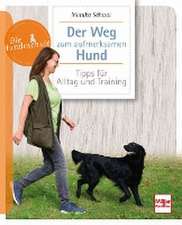 Der Weg zum aufmerksamen Hund