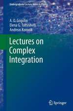 Lectures on Complex Integration