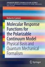 Molecular Response Functions for the Polarizable Continuum Model: Physical basis and quantum mechanical formalism