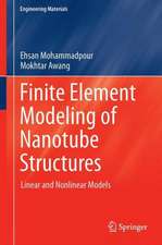 Finite Element Modeling of Nanotube Structures: Linear and Non-linear Models