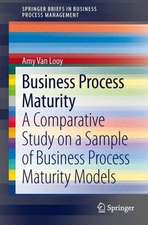 Business Process Maturity