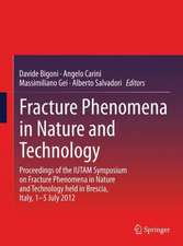 Fracture Phenomena in Nature and Technology: Proceedings of the IUTAM Symposium on Fracture Phenomena in Nature and Technology held in Brescia, Italy, 1-5 July 2012