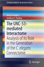 The UNC-53-mediated Interactome: Analysis of its Role in the Generation of the C. elegans Connectome