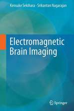 Electromagnetic Brain Imaging