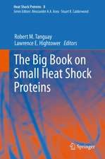 The Big Book on Small Heat Shock Proteins