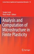 Analysis and Computation of Microstructure in Finite Plasticity