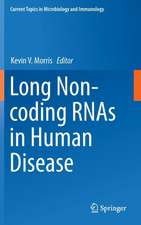 Long Non-coding RNAs in Human Disease