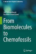 From Biomolecules to Chemofossils