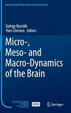 Micro-, Meso- and Macro-Dynamics of the Brain