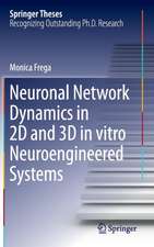 Neuronal Network Dynamics in 2D and 3D in vitro Neuroengineered Systems