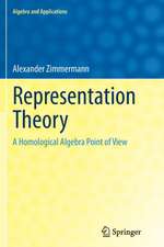 Representation Theory: A Homological Algebra Point of View