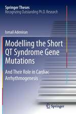 Modelling the Short QT Syndrome Gene Mutations: And Their Role in Cardiac Arrhythmogenesis