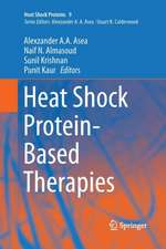 Heat Shock Protein-Based Therapies