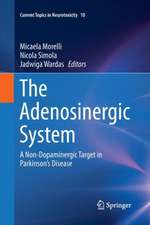 The Adenosinergic System: A Non-Dopaminergic Target in Parkinson’s Disease