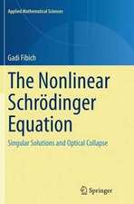 The Nonlinear Schrödinger Equation: Singular Solutions and Optical Collapse