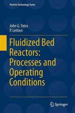 Fluidized-Bed Reactors: Processes and Operating Conditions