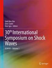 30th International Symposium on Shock Waves 1: ISSW30 - Volume 1