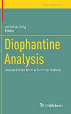 Diophantine Analysis: Course Notes from a Summer School