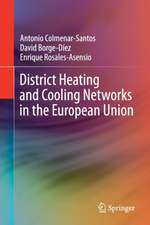 District Heating and Cooling Networks in the European Union