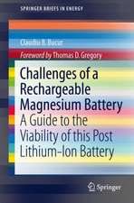 Challenges of a Rechargeable Magnesium Battery