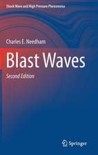Blast Waves