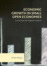 Economic Growth in Small Open Economies: Lessons from the Visegrad Countries