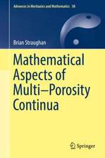 Mathematical Aspects of Multi–Porosity Continua