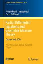 Partial Differential Equations and Geometric Measure Theory: Cetraro, Italy 2014