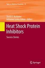 Heat Shock Protein Inhibitors: Success Stories