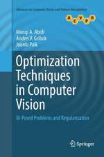 Optimization Techniques in Computer Vision: Ill-Posed Problems and Regularization