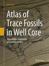 Atlas of Trace Fossils in Well Core: Appearance, Taxonomy and Interpretation