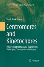 Centromeres and Kinetochores: Discovering the Molecular Mechanisms Underlying Chromosome Inheritance