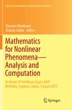 Mathematics for Nonlinear Phenomena - Analysis and Computation