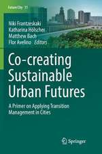 Co-­creating Sustainable Urban Futures: A Primer on Applying Transition Management in Cities