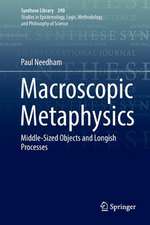 Needham, P: Macroscopic Metaphysics