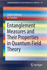 Entanglement Measures and Their Properties in Quantum Field Theory