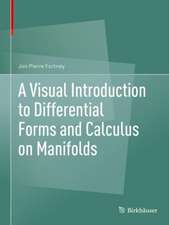 A Visual Introduction to Differential Forms and Calculus on Manifolds