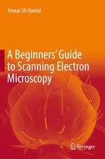 A Beginners' Guide to Scanning Electron Microscopy