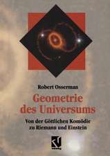 Geometrie des Universums: Von der Göttlichen Komödie zu Riemann und Einstein