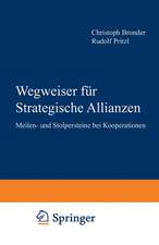 Wegweiser für Strategische Allianzen: Meilen- und Stolpersteine bei Kooperationen