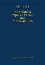 Konvektiver Impuls-, Wärme- und Stoffaustausch