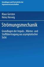 Strömungsmechanik: Grundlagen der Impuls-, Wärme- und Stoffübertragung aus asymptotischer Sicht