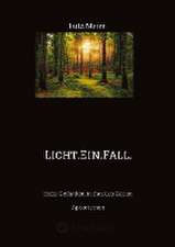 Licht.Ein.Fall.