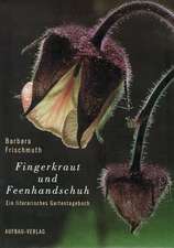 Fingerkraut und Feenhandschuh