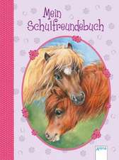 Mein Schulfreundebuch Ponys