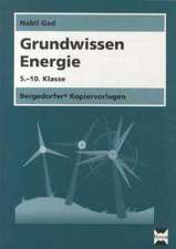 Grundwissen Energie