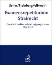 Examensrepetitorium Strafrecht