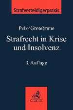 Strafrecht in Krise und Insolvenz