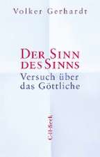 Der Sinn des Sinns